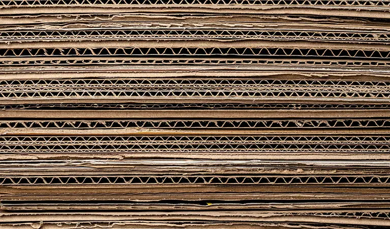 Bild von apasaric auf pexels.com